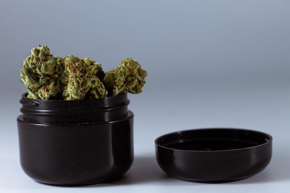 cannabis packaging compliance - Detailed view of cannabis buds stored in a black container with the lid removed.
