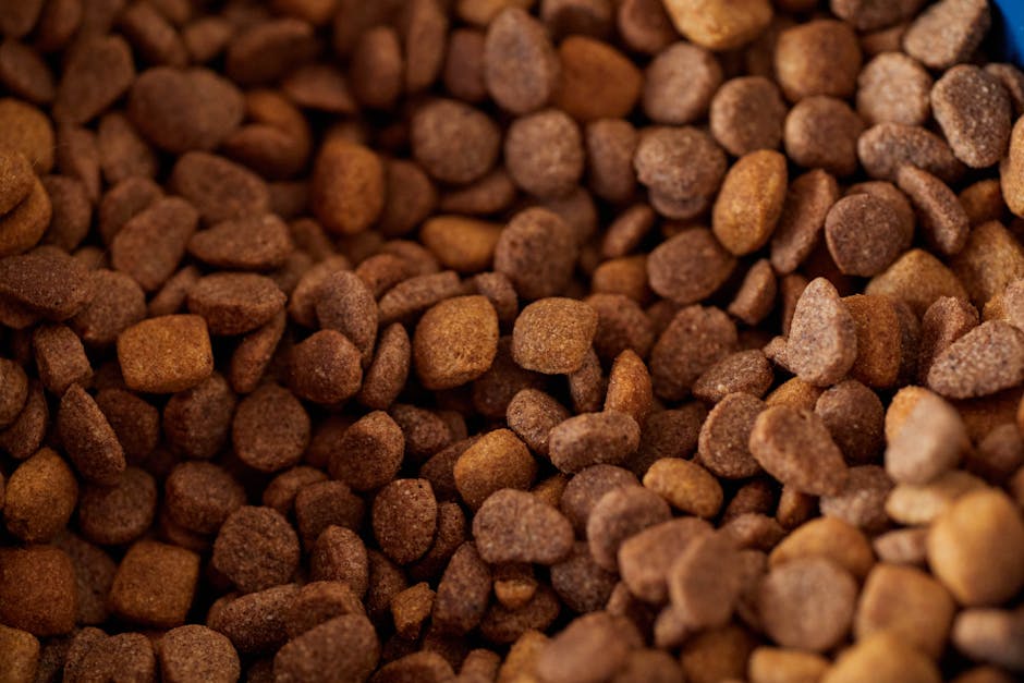 pet food packaging - Detailed close-up of dry dog food kibble, showcasing its texture and color.