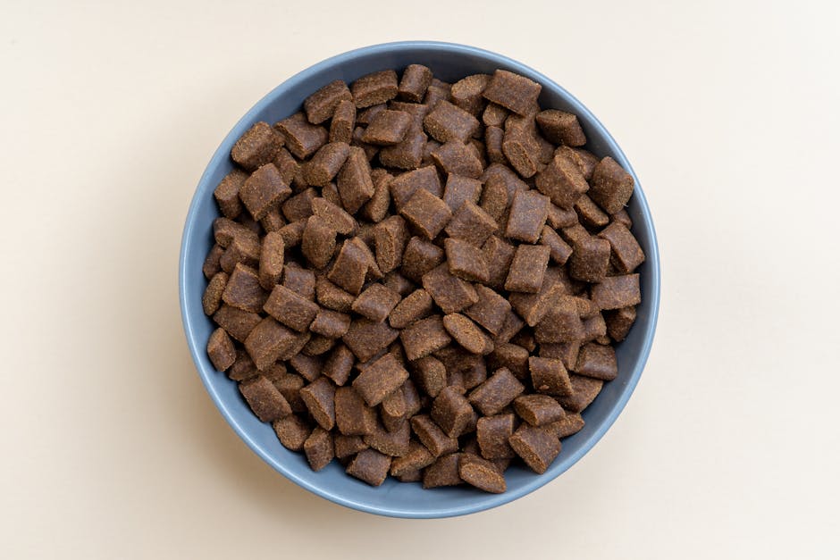 pet food packaging - Aerial view of dry brown dog kibble in a pastel blue bowl against a beige backdrop, perfect for pet food advertisements.