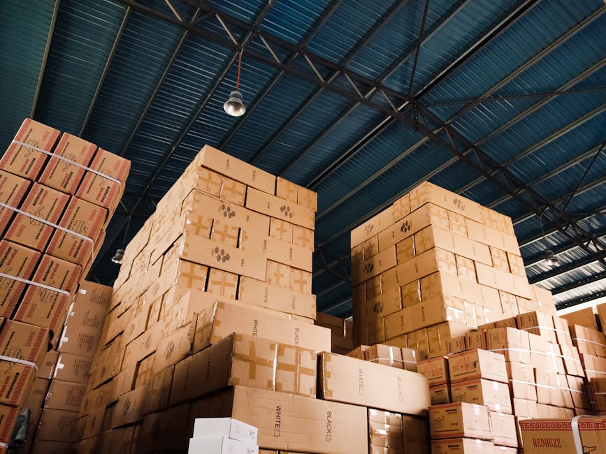 packaging news May 2026 - High stacks of cardboard boxes organized in a warehouse with a blue metal ceiling.
