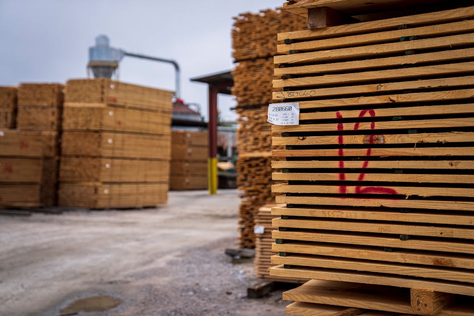 weekly packaging news - Wooden planks neatly stacked in an outdoor lumber yard, ready for shipment.