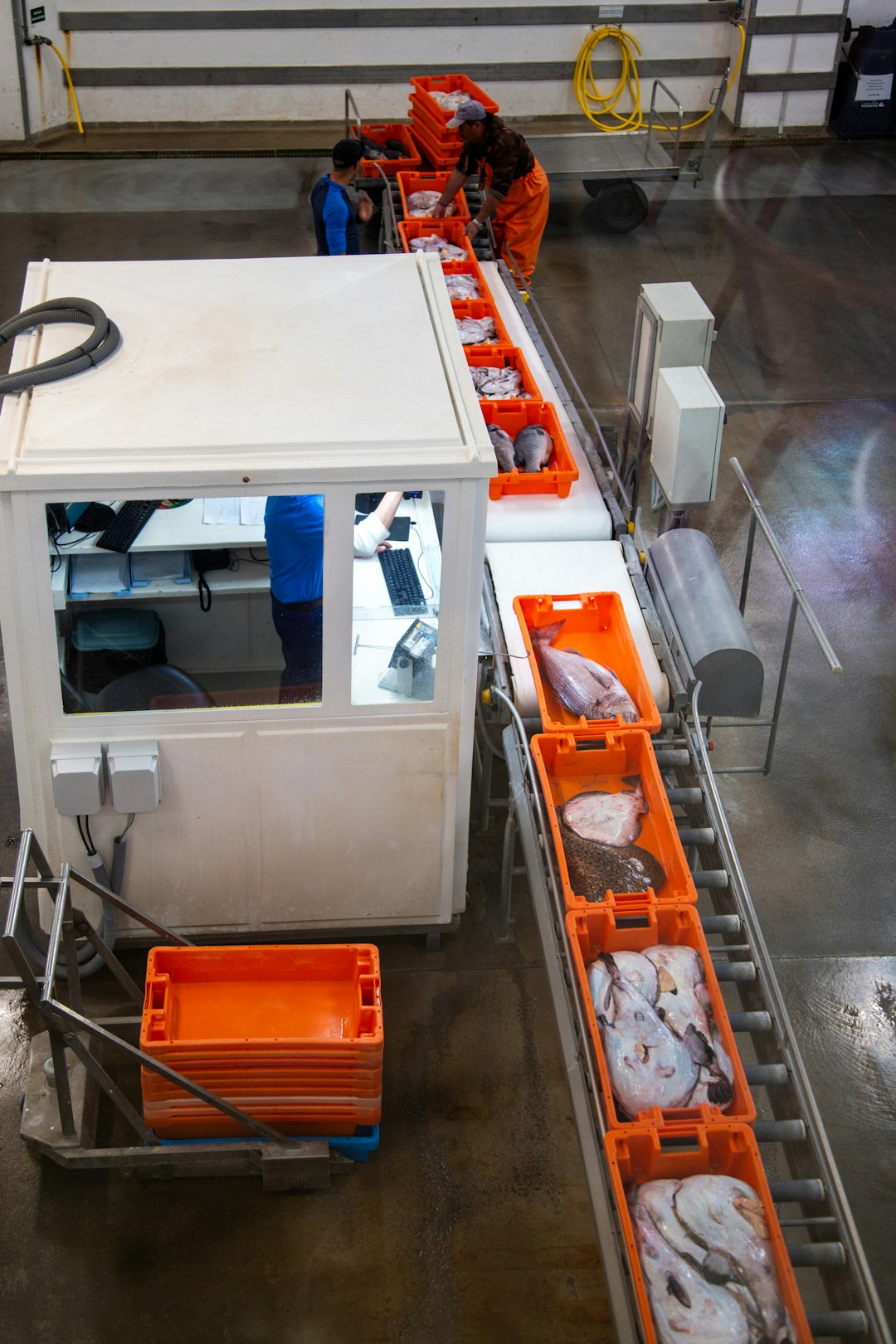 Packaging Supplier Audit