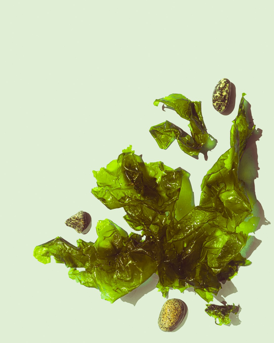 Seaweed-Based Packaging