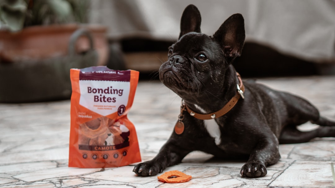 Eco-Friendly Pet Food Packaging