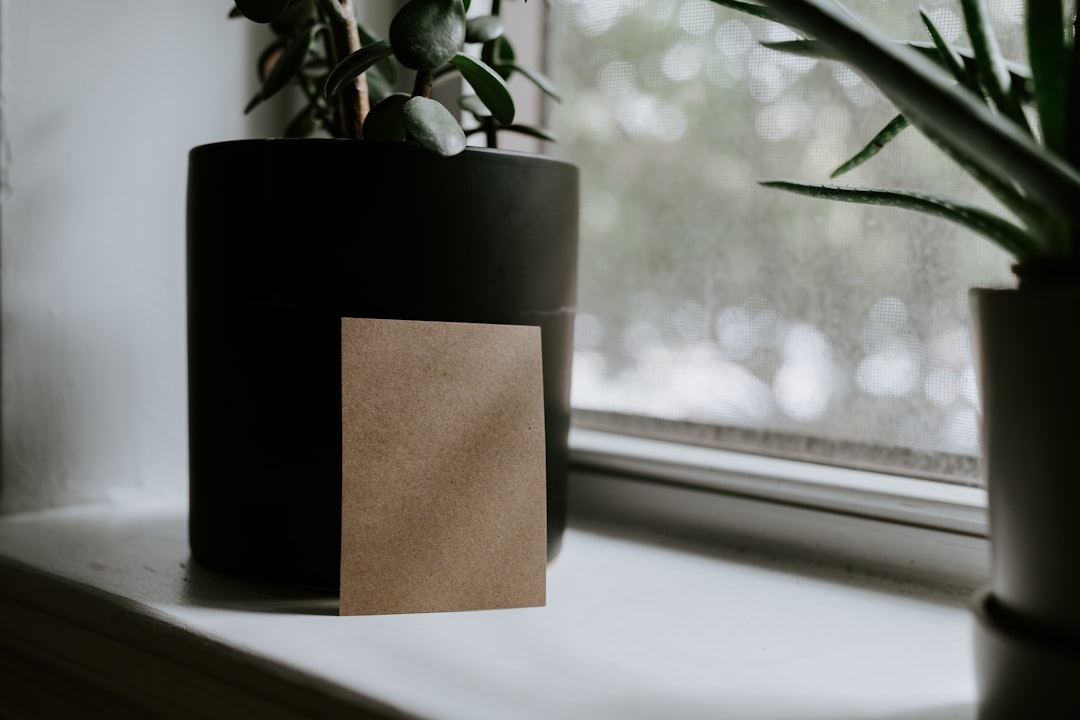 Sustainable packaging for candle brands