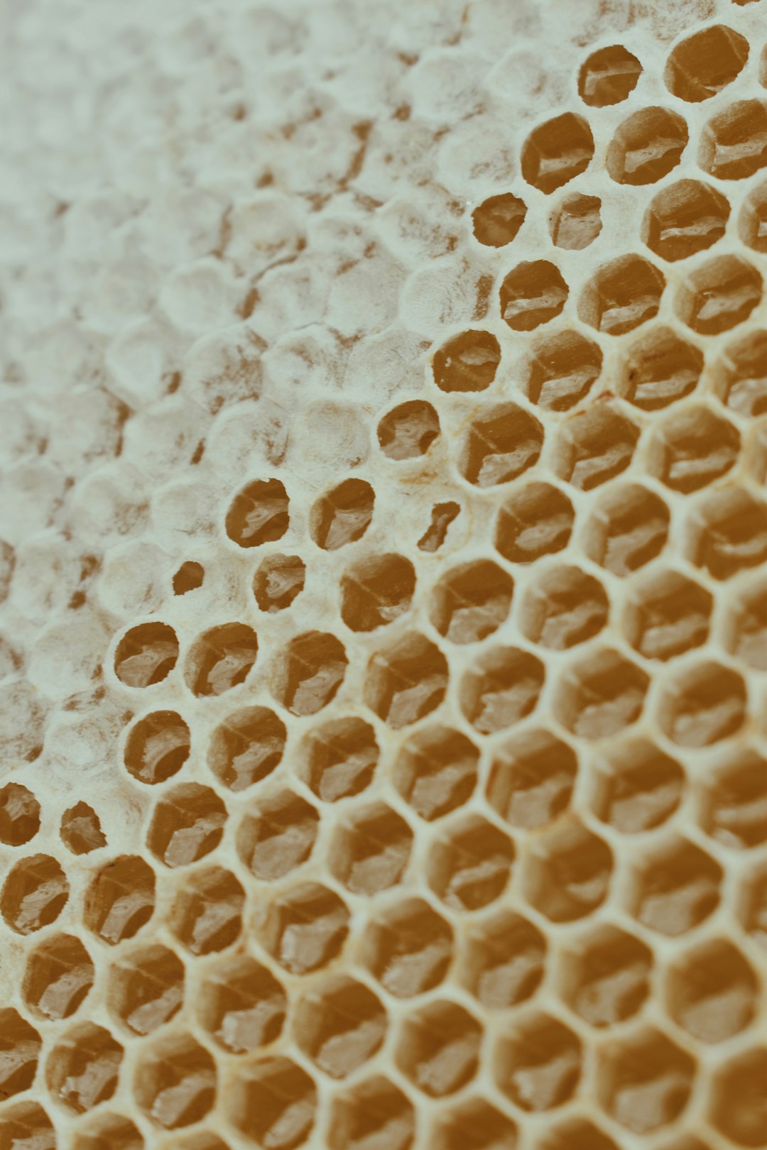 Honeycomb paper wrap vs bubble wrap