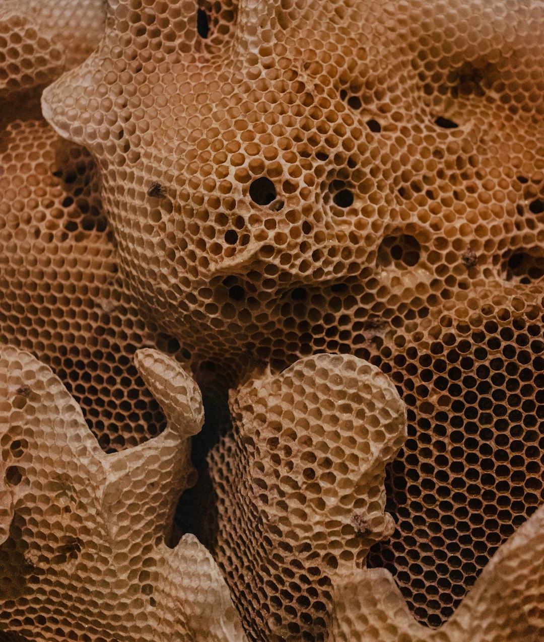 Honeycomb paper wrap vs bubble wrap