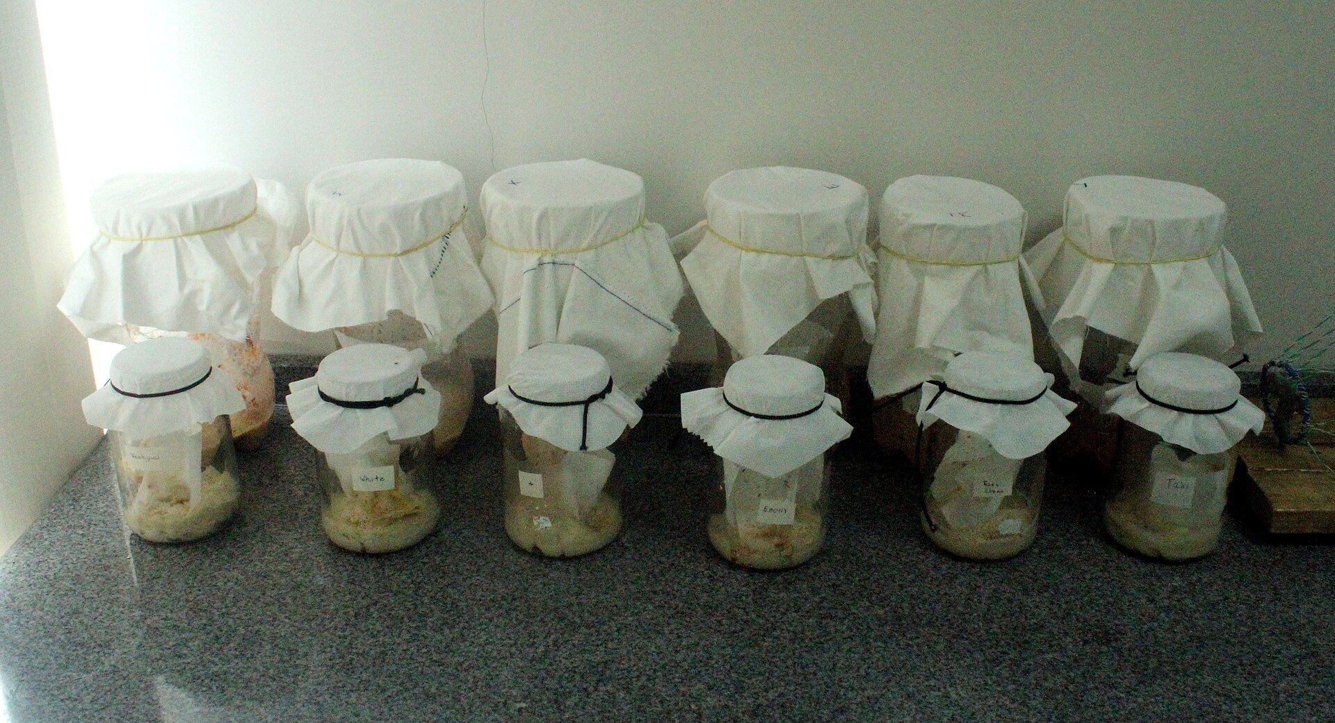 Type I, II, and III glass containers