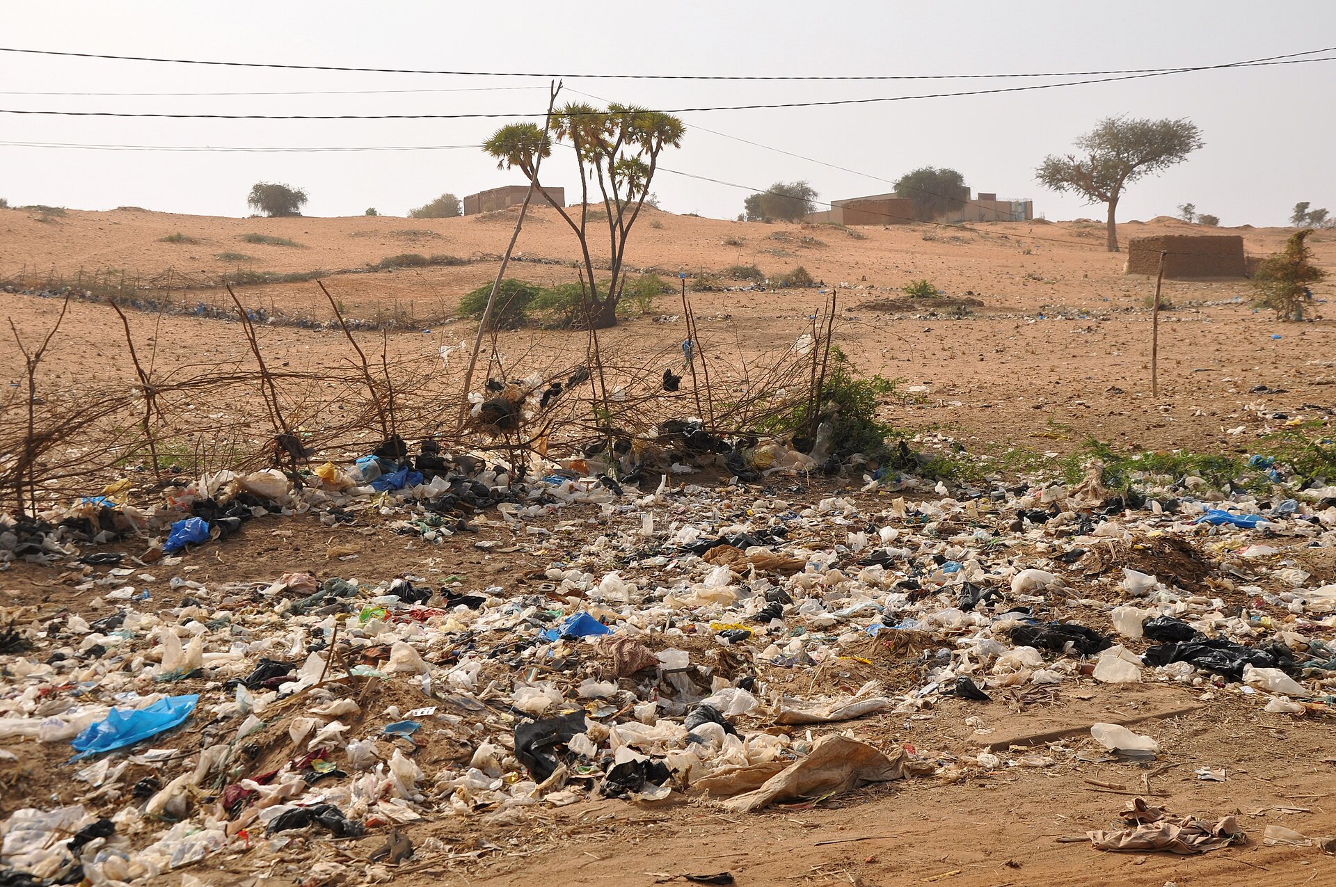 State plastic bag ban thickness rules